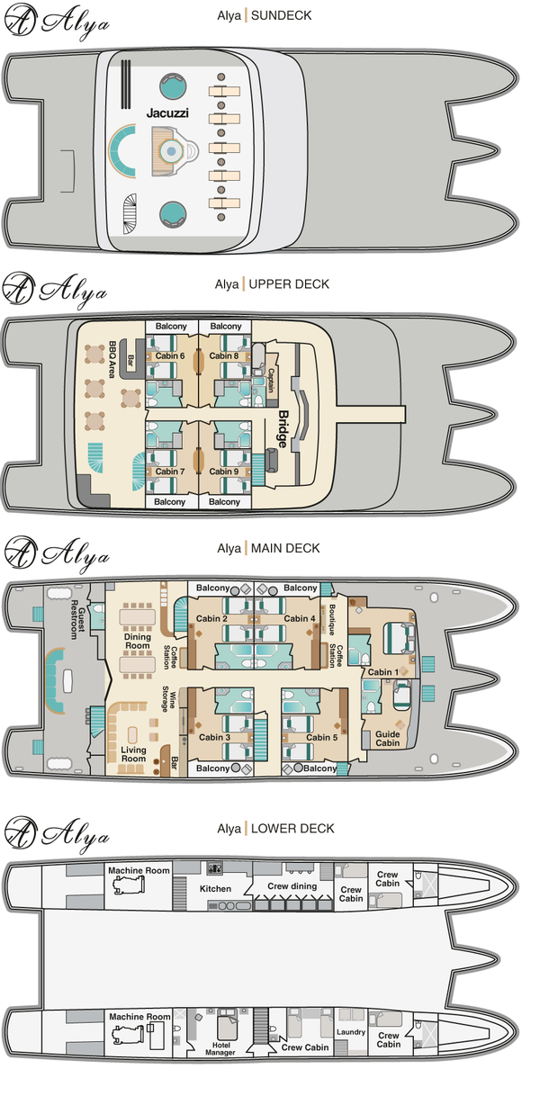 Cabin layout for Alya