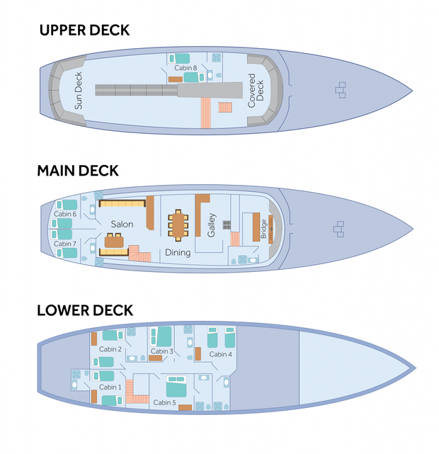 Cabin layout for Beluga
