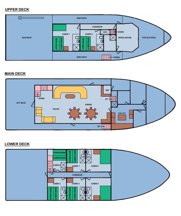Cabin layout for Cachalote Explorer