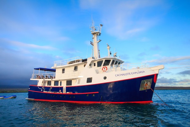 Cachalote Explorer, the ship servicing Cachalote Explorer “Fernandina” Galapagos Islands Cruise