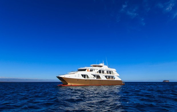 Elite, the ship servicing Elite 7-Night Cruise in Eastern & Western Galapagos