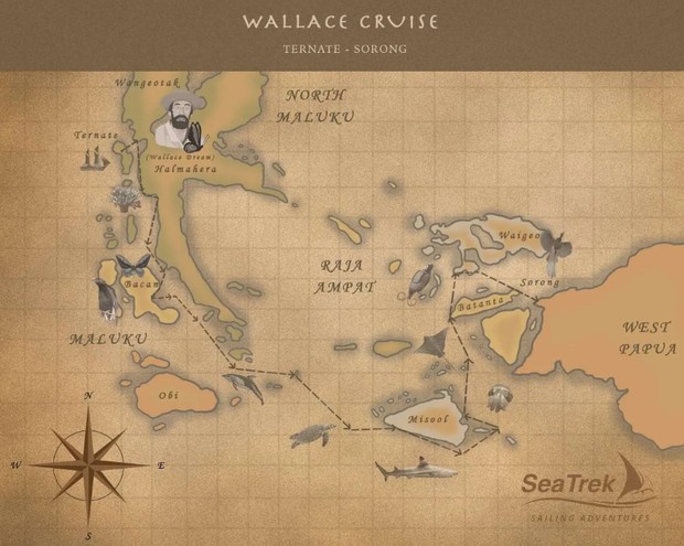 Map for In The Wake Of Wallace Indonesia Cruise - From Sorong To Ternate