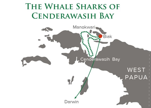 Map for The Whale Sharks of Cenderawasih Bay - West Papua Cruise