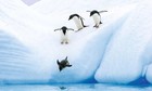 Antarctica Direct: Sail and Fly the Drake Passage Expedition Cruise