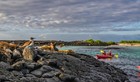 Epic Galápagos Escape Small Ship Cruise