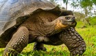 Galápagos by Catamaran: An Intimate Voyage